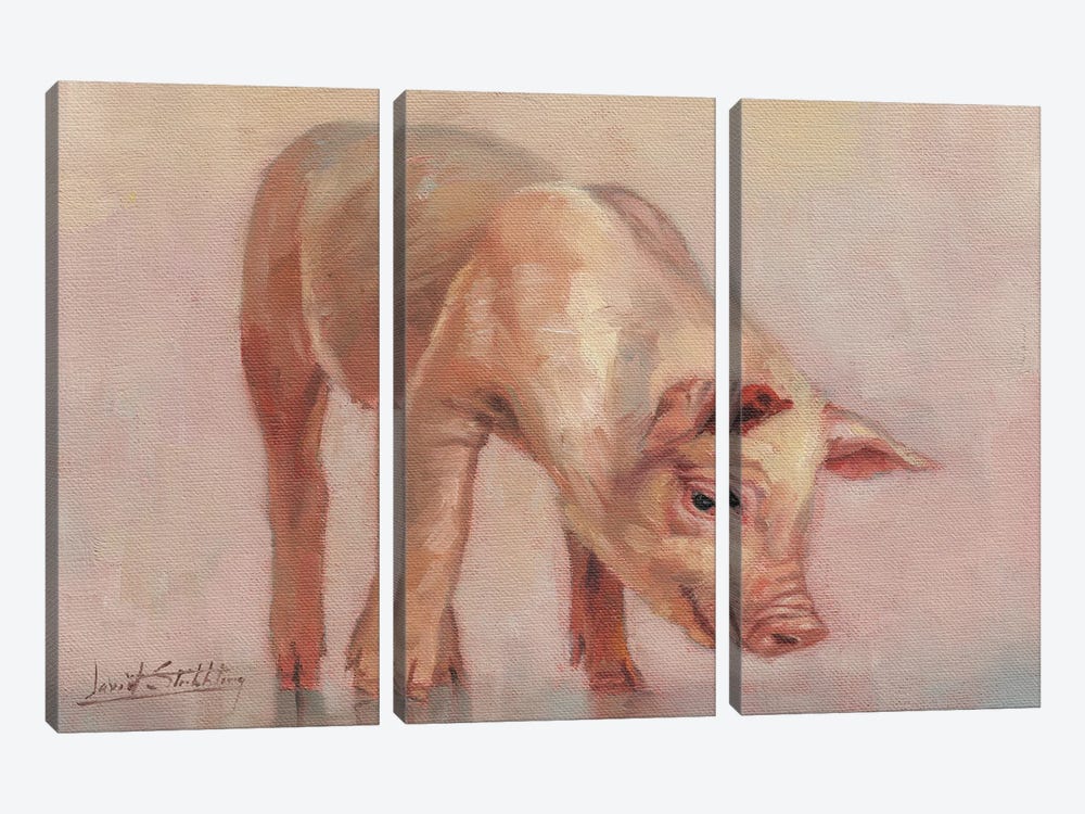 Little Pig by David Stribbling 3-piece Canvas Wall Art