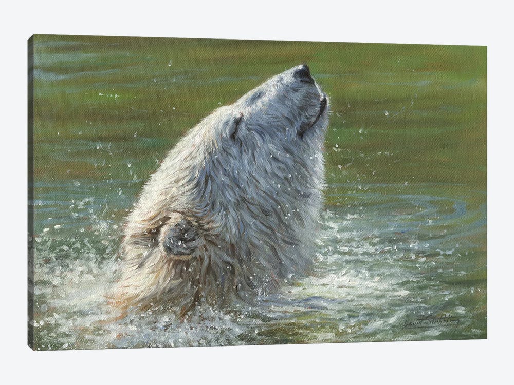 Polar Bear Splash by David Stribbling 1-piece Canvas Print