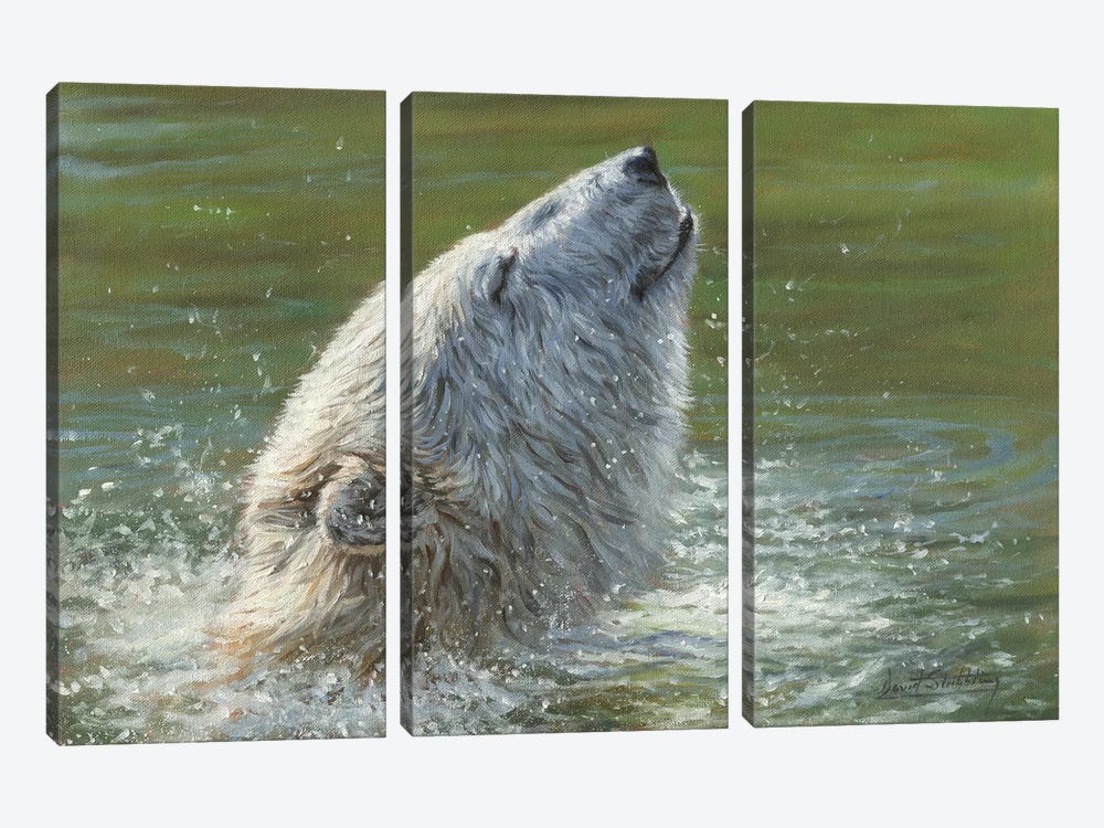 Polar Bear Splash by David Stribbling 3-piece Canvas Art Print