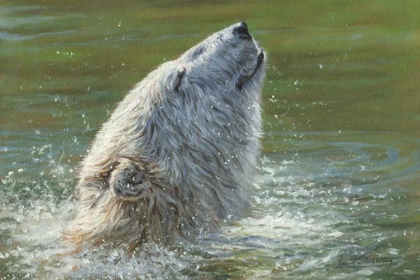David Stribbling: Polar Bear Splash by David Stribbling