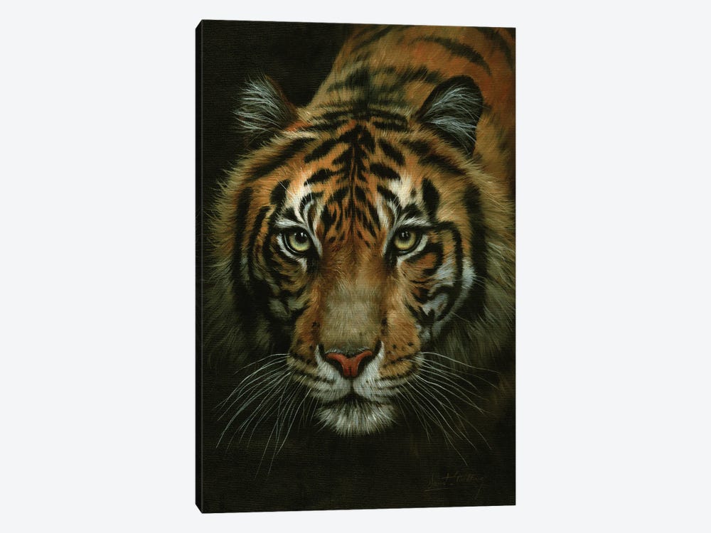 Tiger Portrait by David Stribbling 1-piece Canvas Art