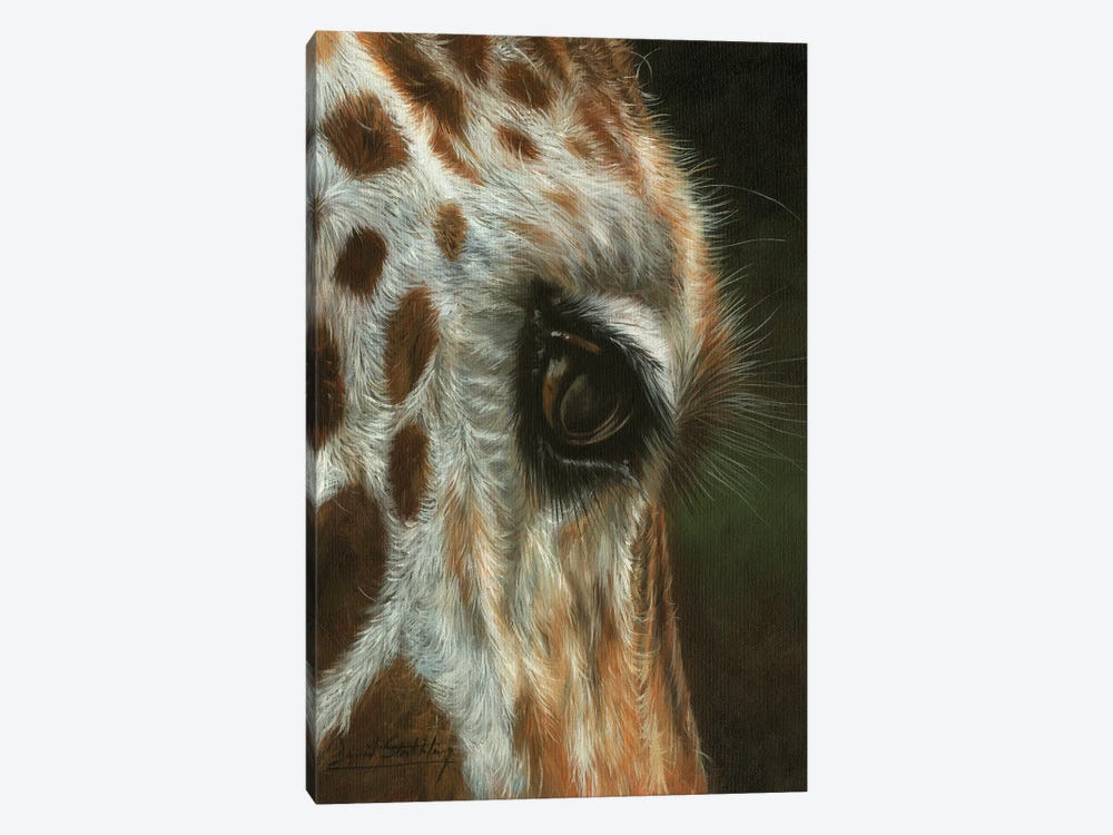 Giraffe Close by David Stribbling 1-piece Canvas Art