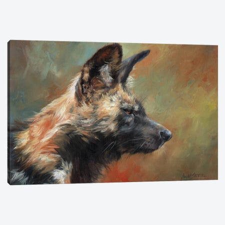 African Hunting Dog (Wild Dog) Canvas Print #STG245} by David Stribbling Canvas Artwork