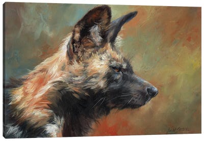 African Hunting Dog (Wild Dog) Canvas Art Print - Animal Rights Art