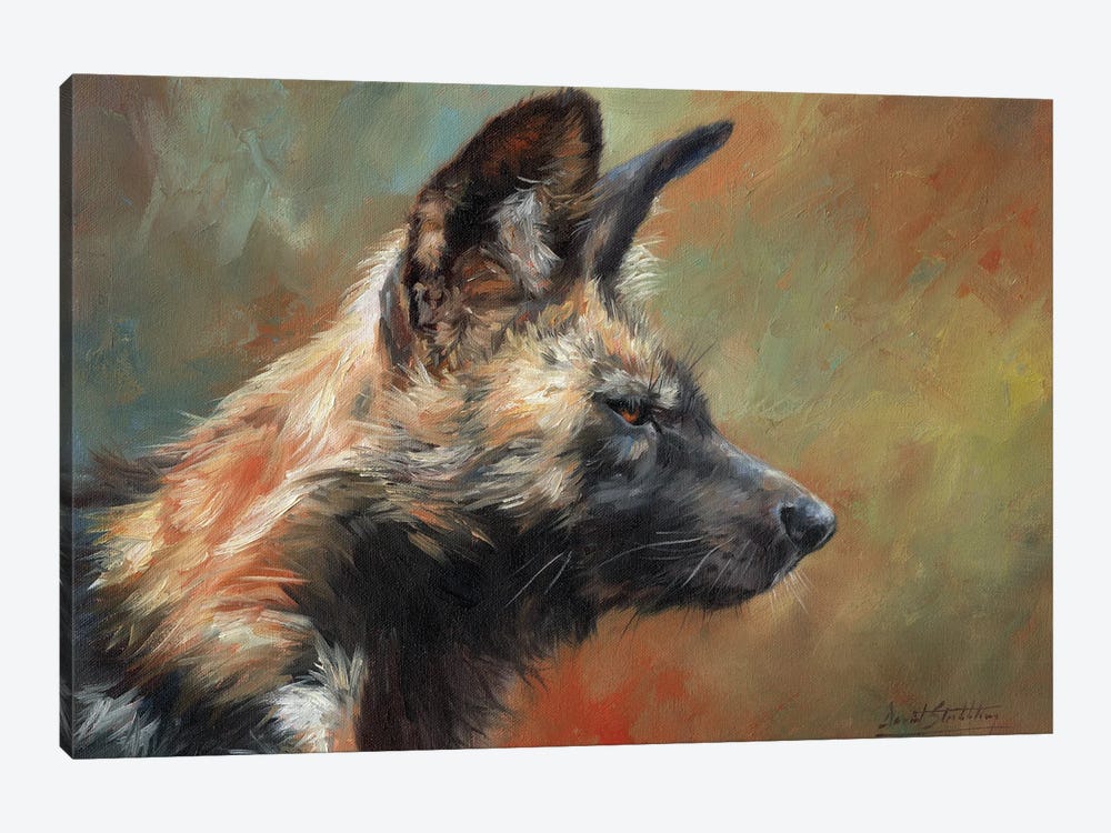African Hunting Dog (Wild Dog) by David Stribbling 1-piece Canvas Art Print