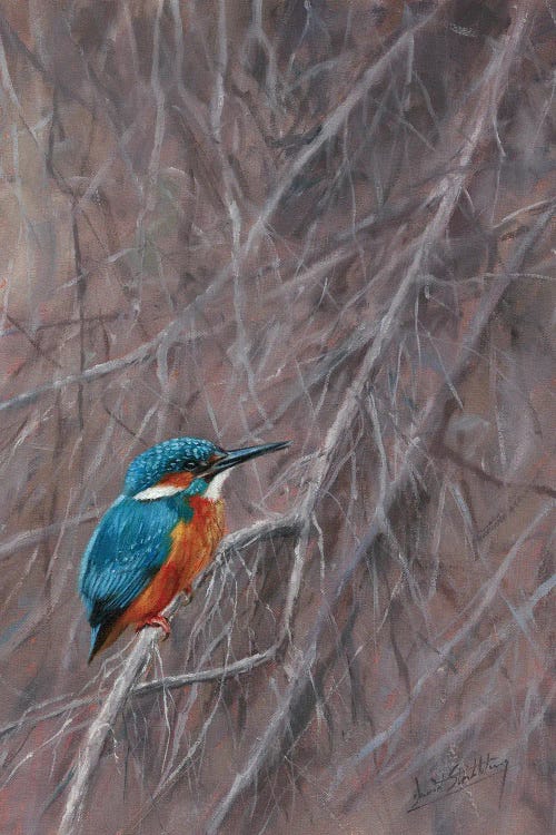Kingfisher Waterside