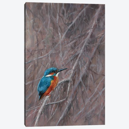 Kingfisher Waterside Canvas Print #STG246} by David Stribbling Canvas Artwork
