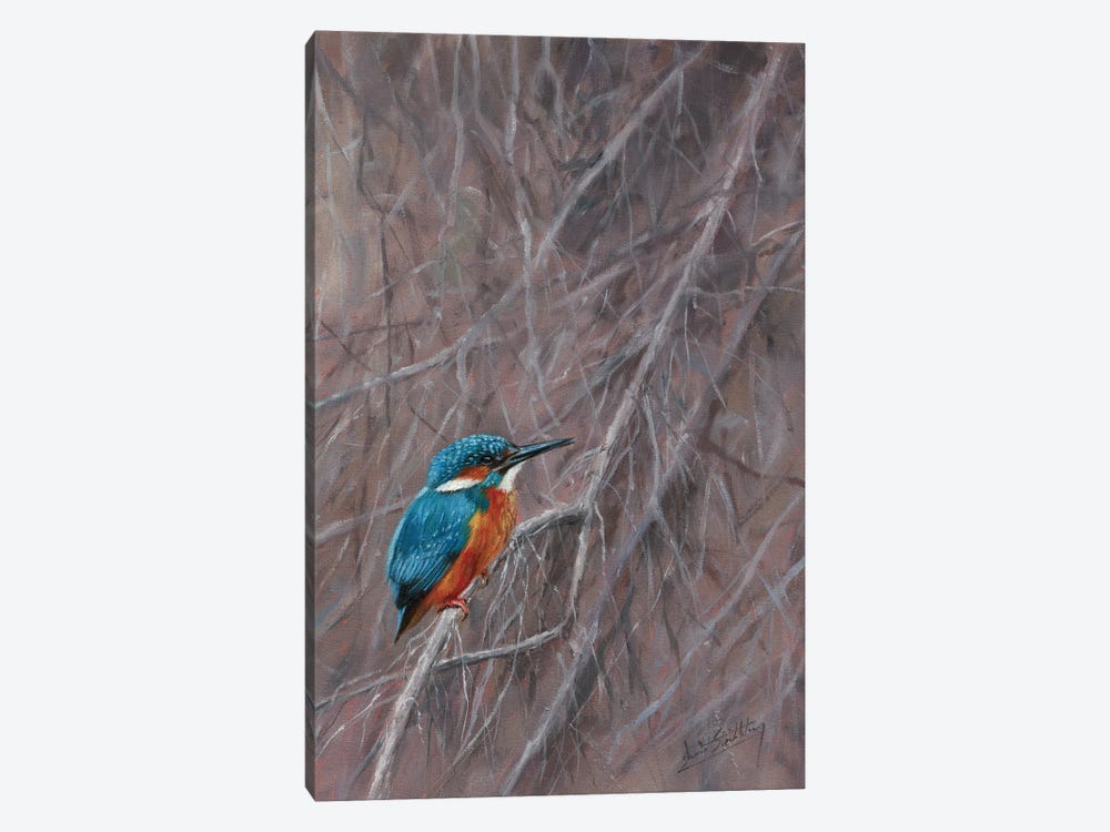 Kingfisher Waterside by David Stribbling 1-piece Canvas Artwork