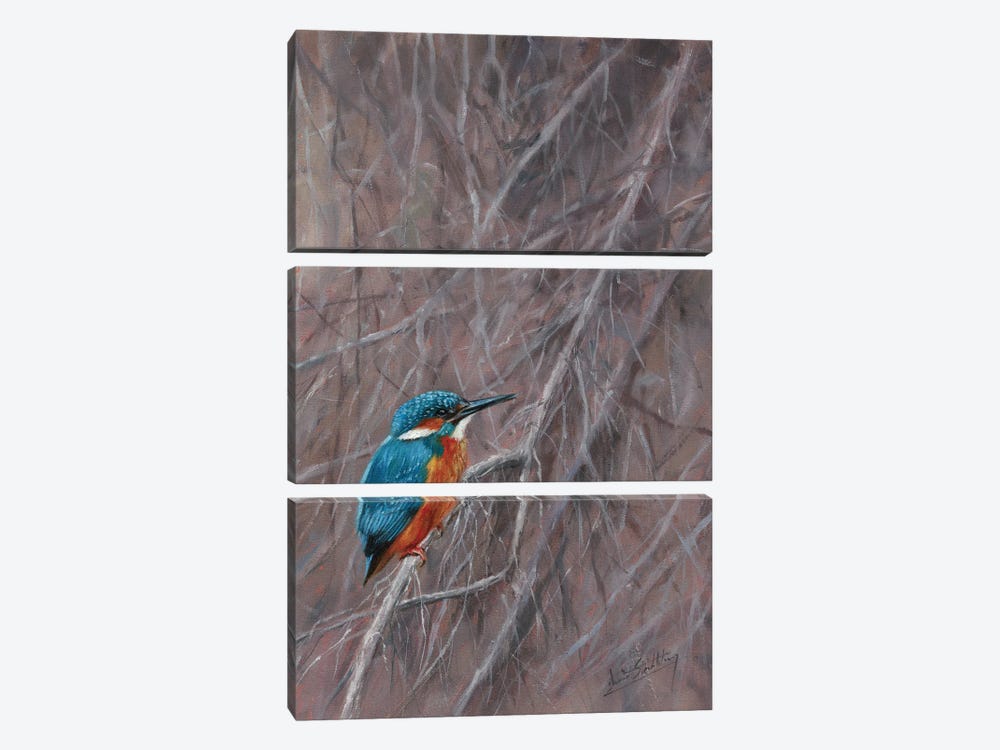 Kingfisher Waterside by David Stribbling 3-piece Canvas Artwork