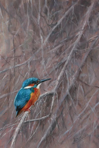 David Stribbling: Kingfisher Waterside by David Stribbling