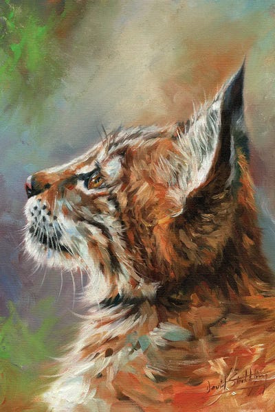 Lynx Wild Cat by David Stribbling multi panel art