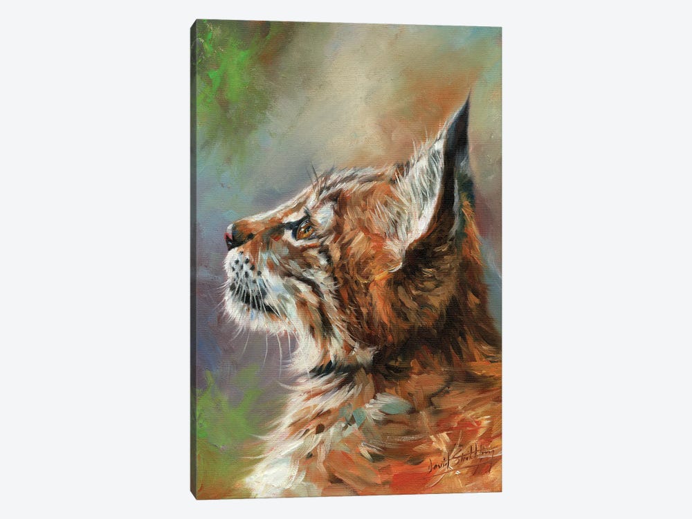 Lynx Wild Cat by David Stribbling 1-piece Canvas Print