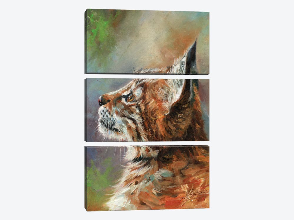 Lynx Wild Cat by David Stribbling 3-piece Art Print