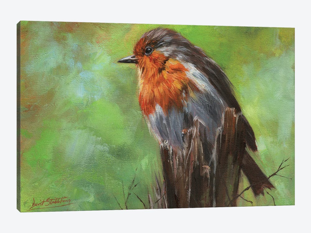 Robin by David Stribbling 1-piece Canvas Print