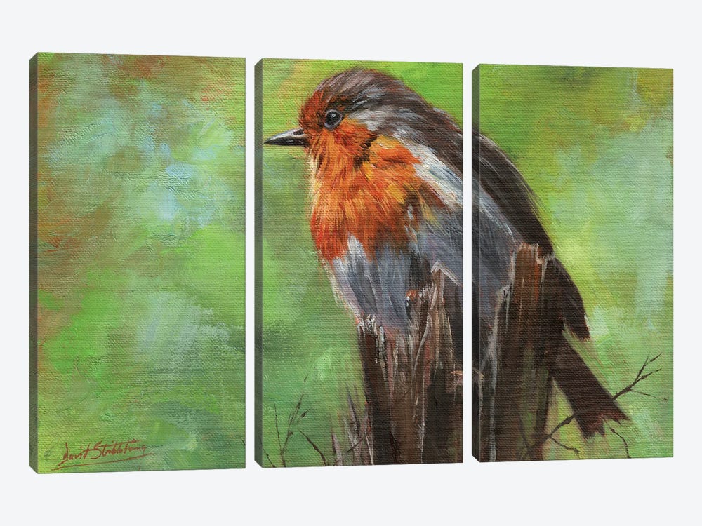 Robin by David Stribbling 3-piece Canvas Print