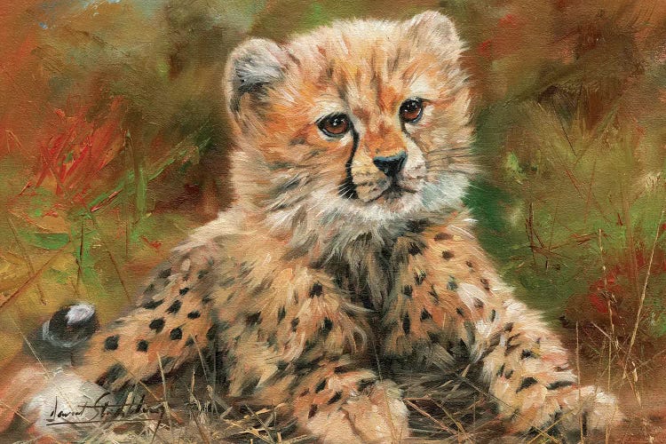 Cheetah Cub Laying Down by David Stribbling wall art