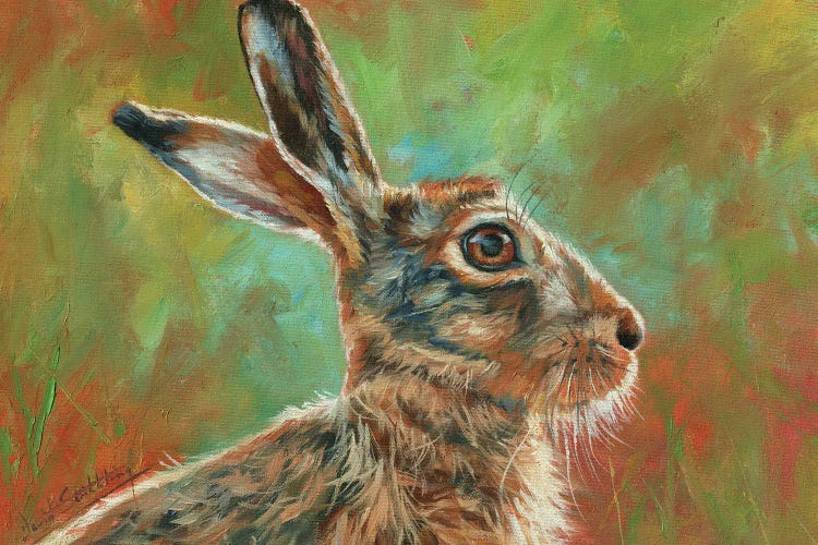 Brown Hare by David Stribbling wall art