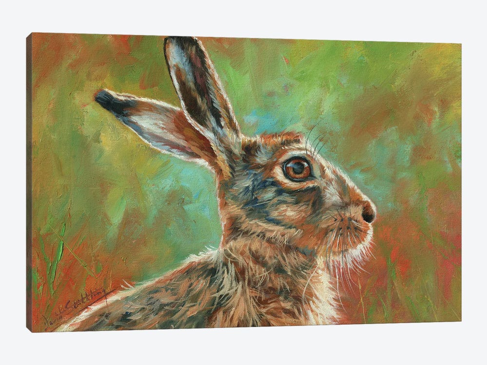 Brown Hare by David Stribbling 1-piece Canvas Artwork
