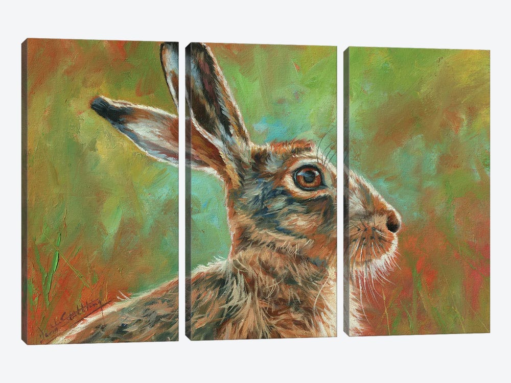 Brown Hare by David Stribbling 3-piece Canvas Wall Art