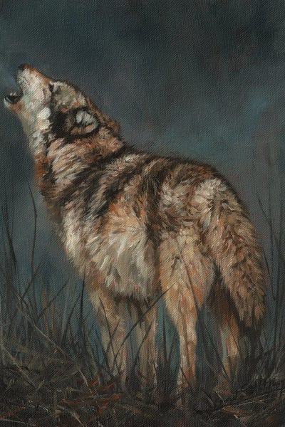 Wolves: By The Light Of The Moon by David Stribbling