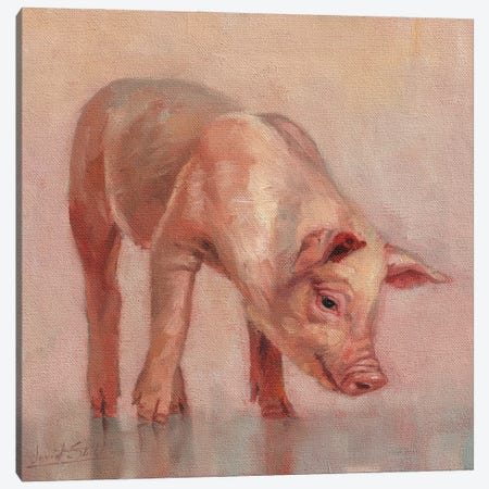 Piglet Canvas Print #STG259} by David Stribbling Canvas Art