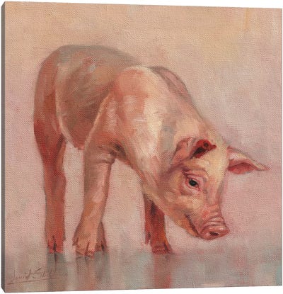 Piglet Canvas Art Print - David Stribbling
