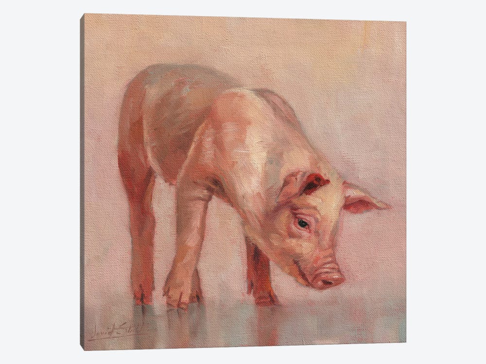 Piglet by David Stribbling 1-piece Canvas Artwork