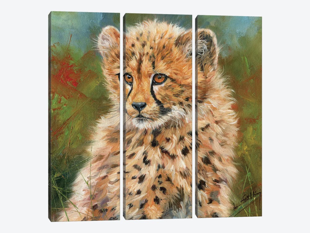 Cheetah Cub Portrait by David Stribbling 3-piece Canvas Art
