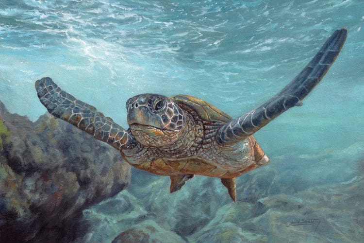 Sea Diver by David Stribbling wall art
