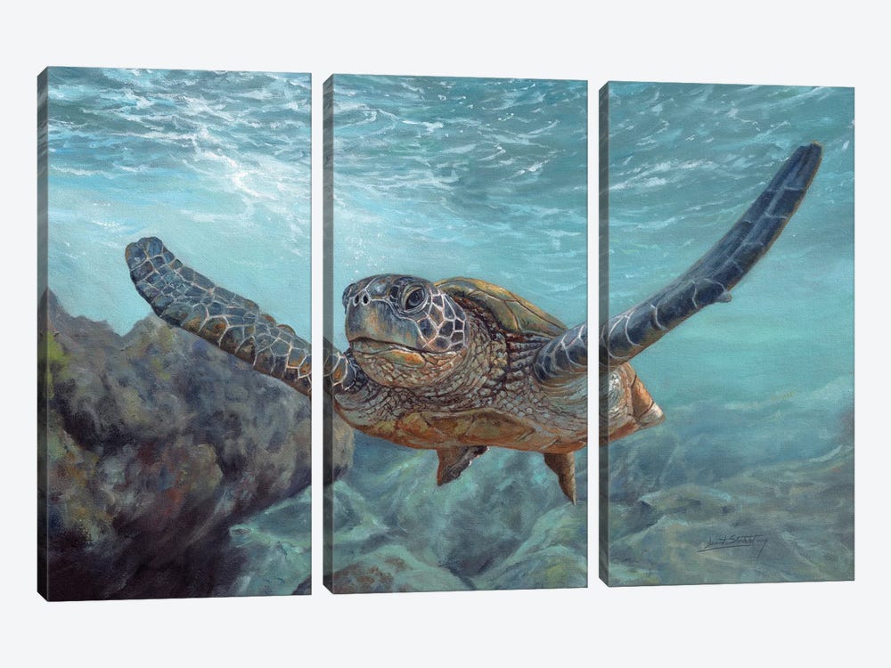 Sea Diver by David Stribbling 3-piece Canvas Wall Art