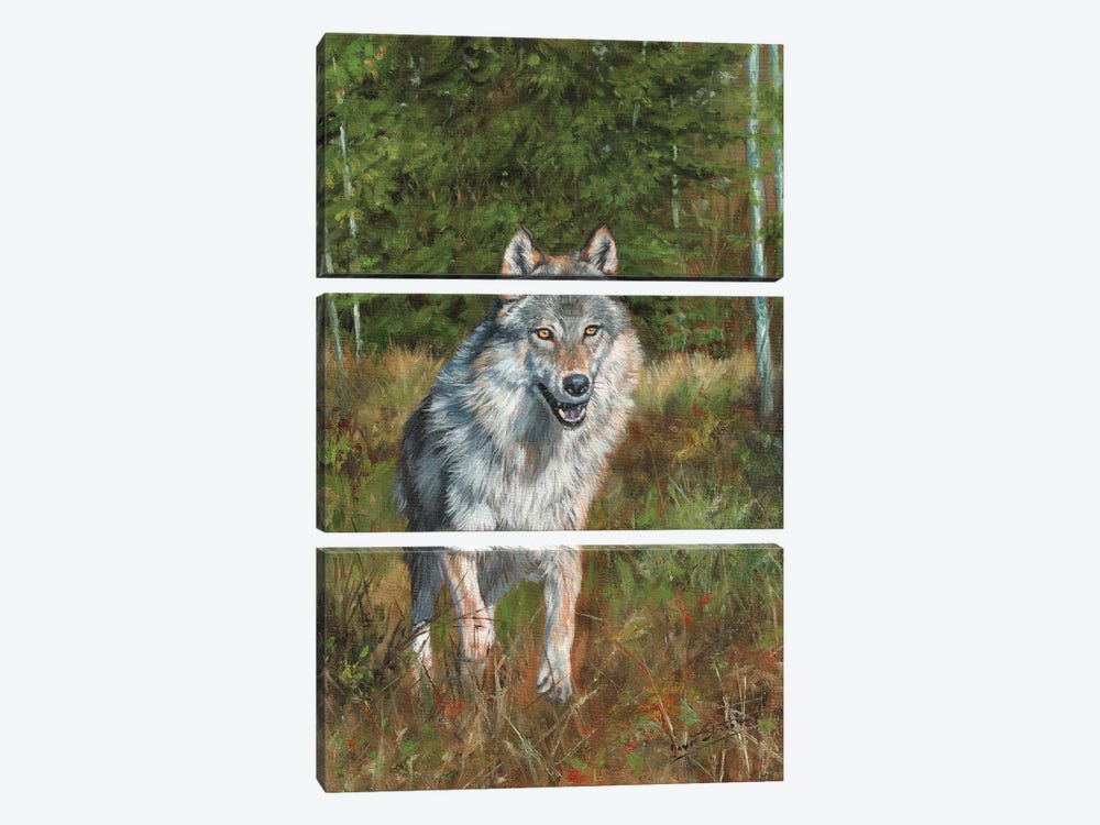 Wolf Running by David Stribbling 3-piece Art Print