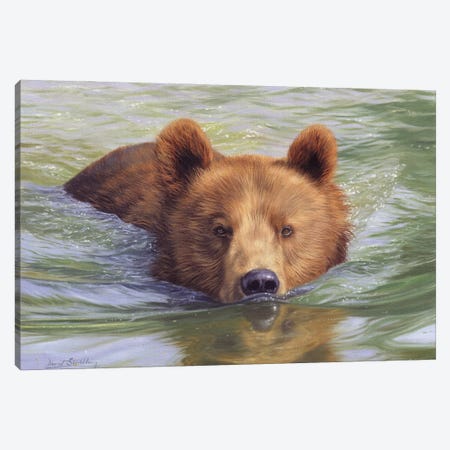 Brown Bear In Water II Canvas Print #STG263} by David Stribbling Canvas Art Print