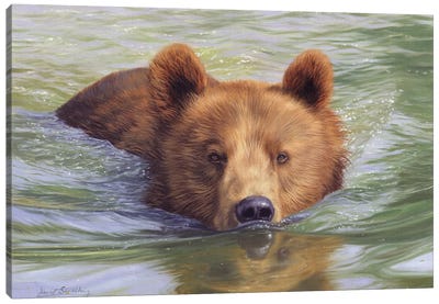 Brown Bear In Water II Canvas Art Print - Lakehouse Décor