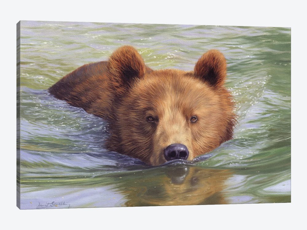 Brown Bear In Water II by David Stribbling 1-piece Art Print