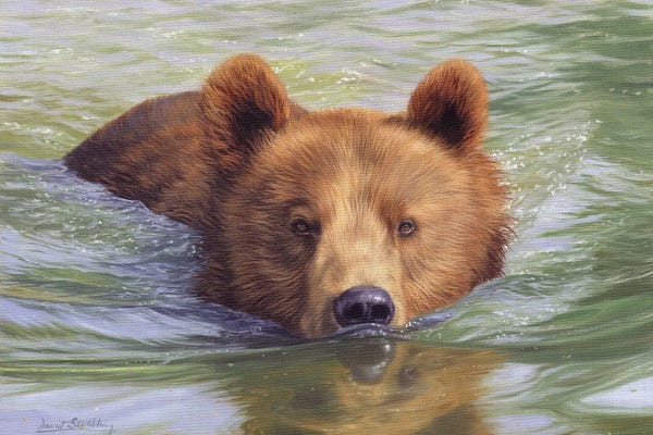David Stribbling: Brown Bear In Water II by David Stribbling