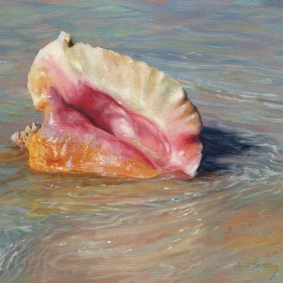 Conch Shell by David Stribbling canvas print
