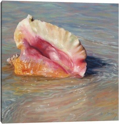 Conch Shell Canvas Art Print - Ocean Treasures