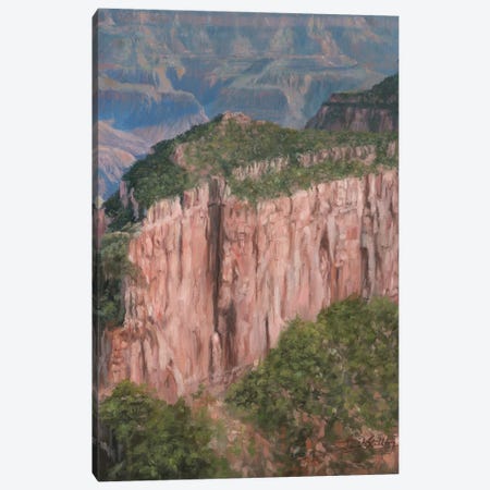 Grand Canyon North Rim Canvas Print #STG267} by David Stribbling Canvas Art