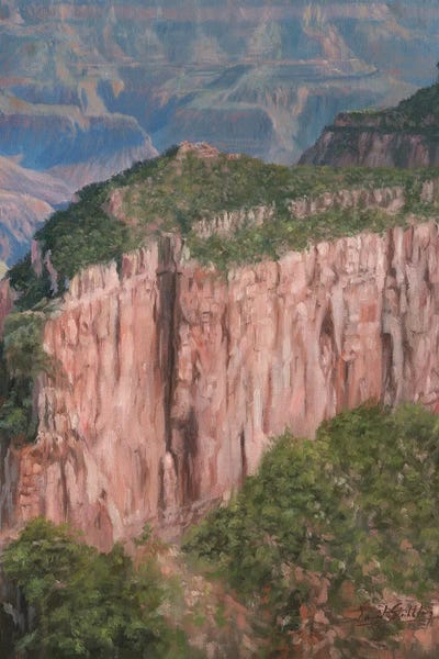David Stribbling: Grand Canyon North Rim by David Stribbling