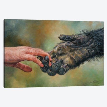 Hands of Friendship Canvas Print #STG268} by David Stribbling Canvas Print