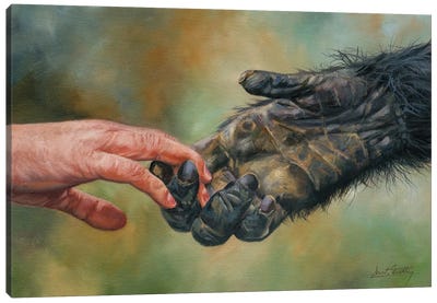 Hands of Friendship Canvas Art Print - Wildlife Conservation Art