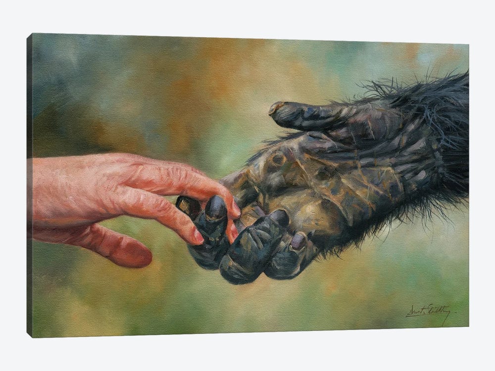 Hands of Friendship by David Stribbling 1-piece Canvas Artwork