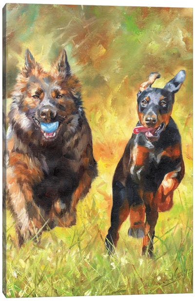Full Of Life Canvas Art Print - Rottweiler Art