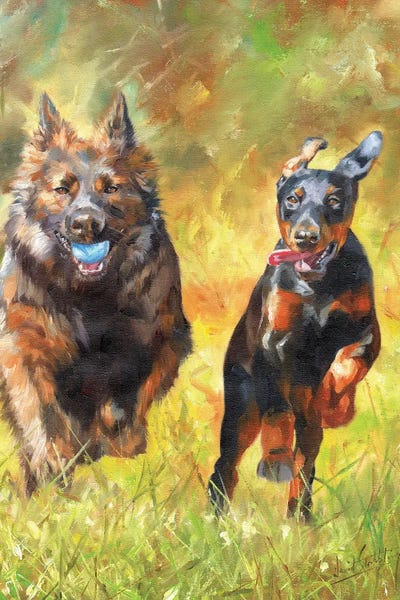 German Shepherds: Full Of Life by David Stribbling