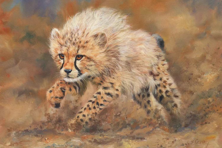 Cheetah Dust by David Stribbling wall art