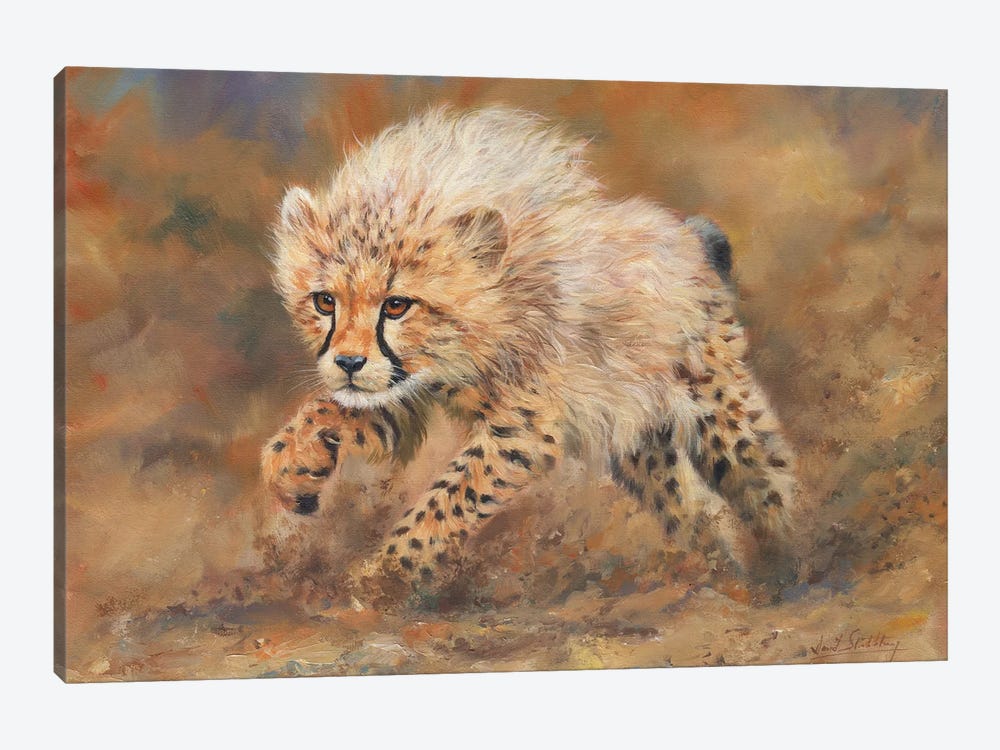 Cheetah Dust by David Stribbling 1-piece Art Print