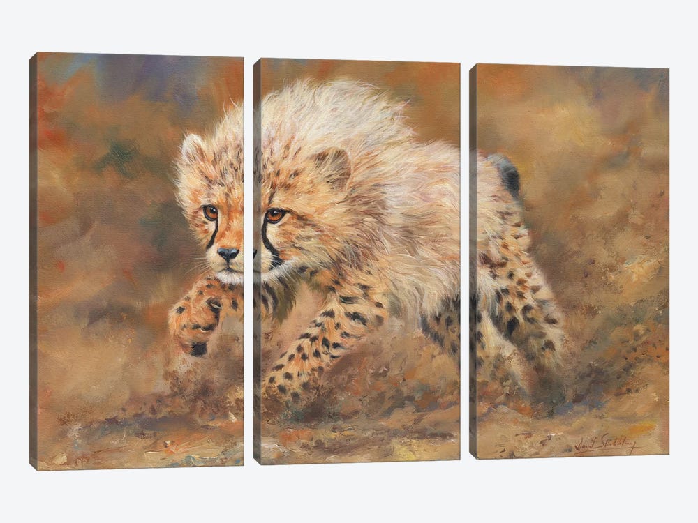 Cheetah Dust by David Stribbling 3-piece Canvas Art Print