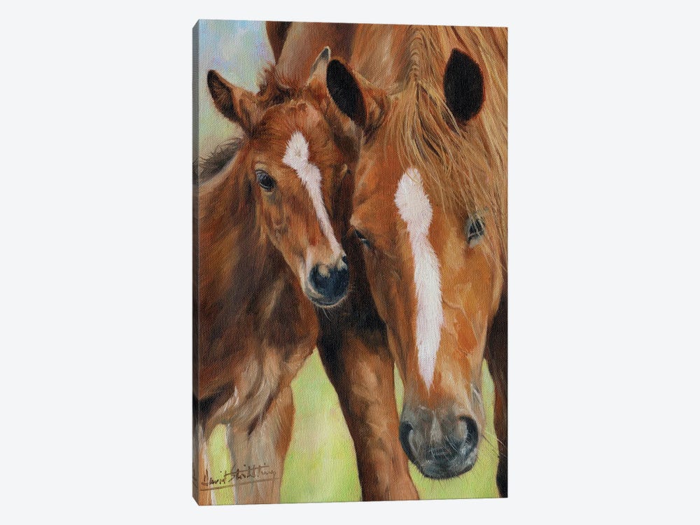 Mother and Foal by David Stribbling 1-piece Canvas Art Print