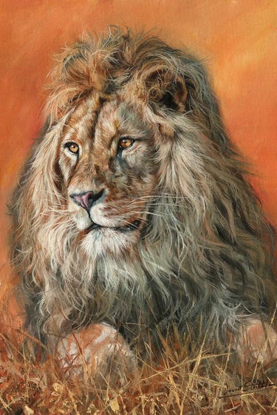 Majestic Lion by David Stribbling art print
