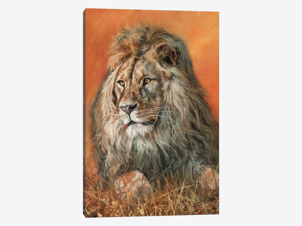Majestic Lion by David Stribbling 1-piece Canvas Wall Art